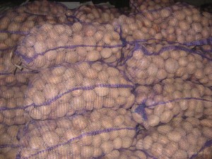 картошка 2